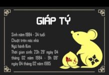 Hướng Giường Ngủ Tuổi Giáp Tý 1984 Như Thế Nào?