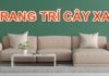 TOP Cách Trang Trí Cây Cảnh Trong Phòng Khách Siêu Xinh