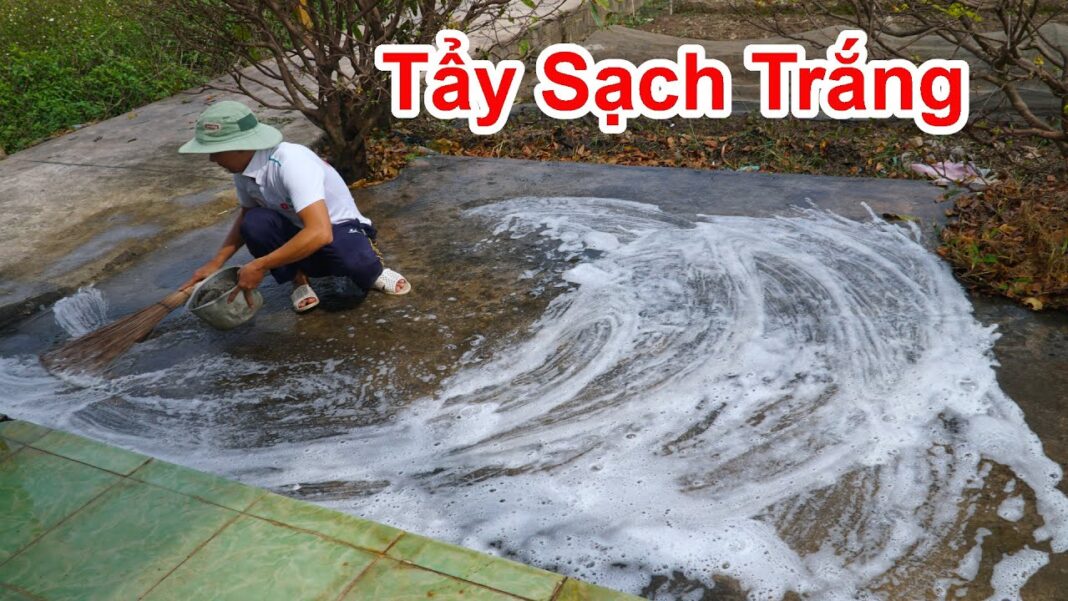 Cách Diệt Rong Rêu Trên Nền Xi Măng Bê Tông Đơn Giản