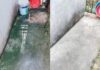 Cách Diệt Rong Rêu Trên Nền Xi Măng Bê Tông Đơn Giản