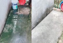 Cách Diệt Rong Rêu Trên Nền Xi Măng Bê Tông Đơn Giản